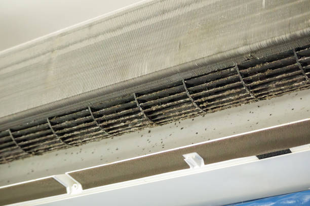 Best Duct Cleaning for Homes  in St Charles, IL
